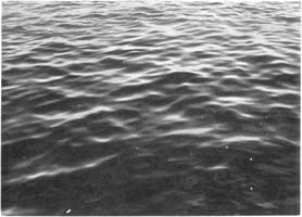 unai san mart&iacute;n