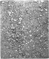 unai san mart&iacute;n