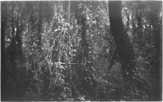 unai san mart&iacute;n