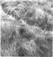 unai san mart&iacute;n