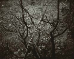 unai san mart&iacute;n