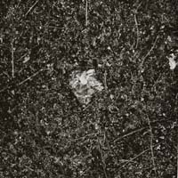 unai san mart&iacute;n