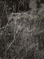 unai san mart&iacute;n