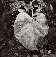 unai san mart&iacute;n